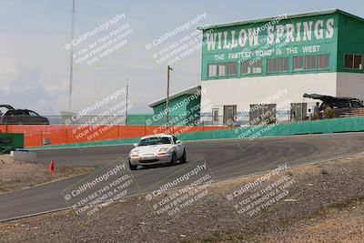 media/May-03-2025-Lucky Dog Racing (Sat) [[206de64b9d]]/Turn 4 B (1150am-130pm)/